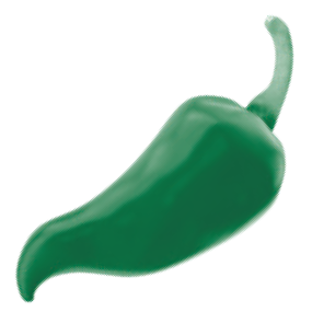 Vürtsikas